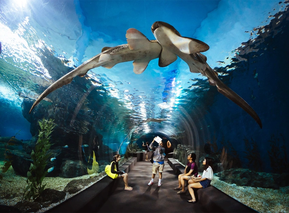 SEA LIFE Bangkok Ocean World